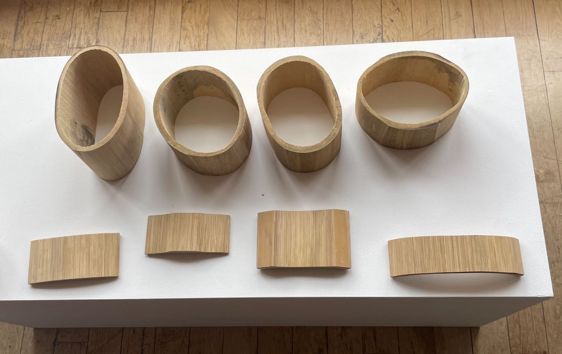 ENSCI - Jury rendu d’atelier - Innovations en matière de bambou