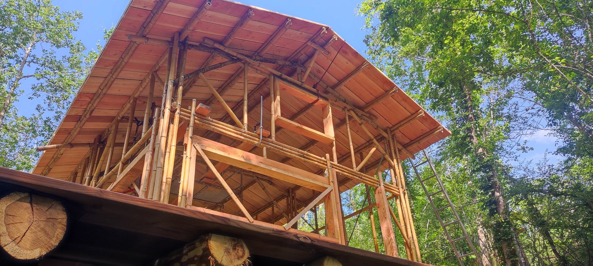 première maison en structure bambou de France