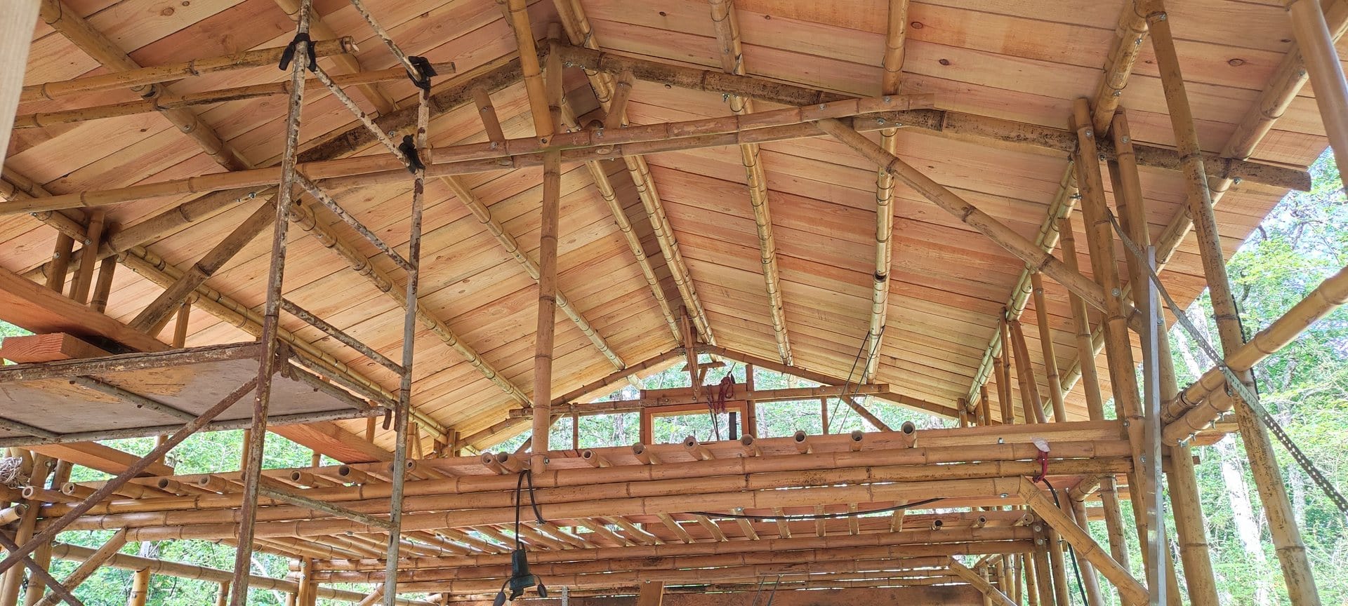 première maison en structure bambou de France