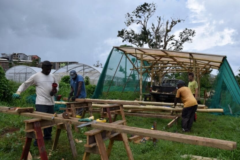 Mayotte : Les serres en bambous une solution post-Chido