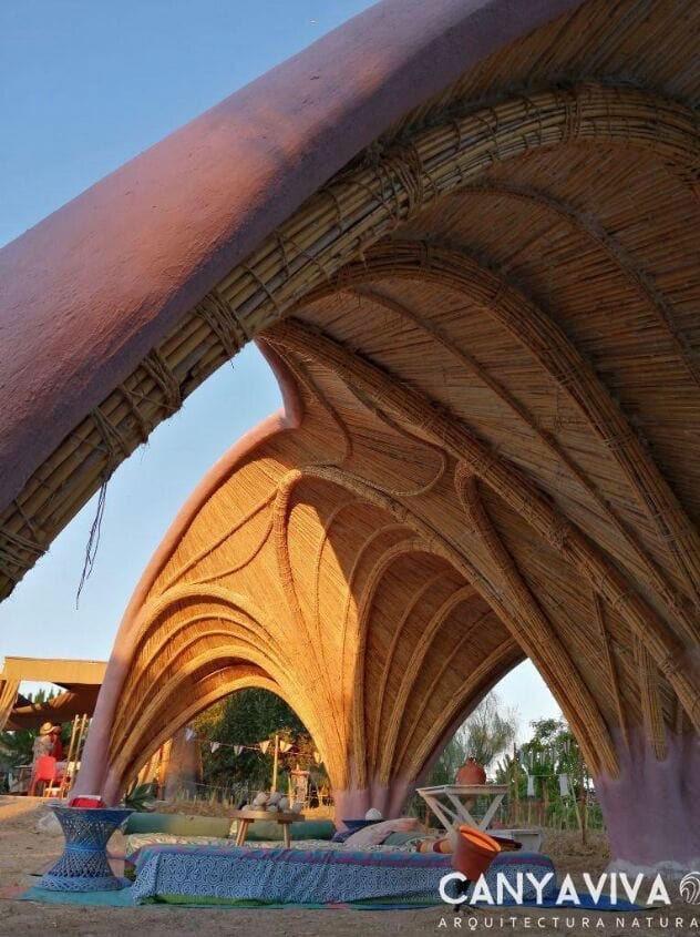 Découvrez le travail artisanal incroyable de Canya Viva !