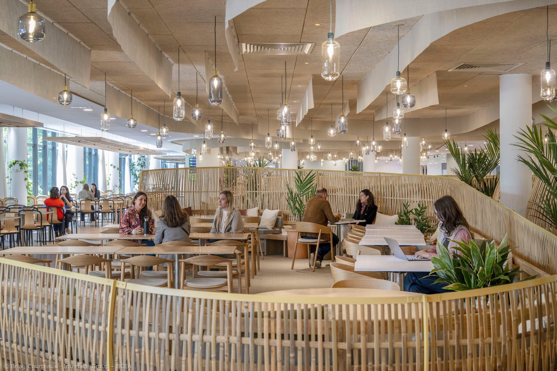 Réalisation d&rsquo;agencements en bambou avec Interface Group