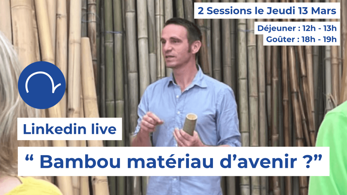 Live Linkedin « Bambou matériau d&rsquo;avenir ? »