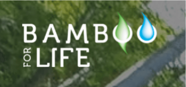 Remplacer les stations d’épuration par des forêts de bambou !